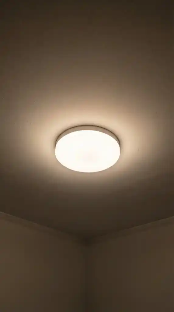 Low Profile Ceiling Fixtures