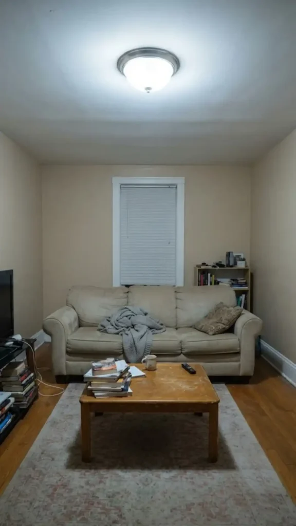 Room Rug