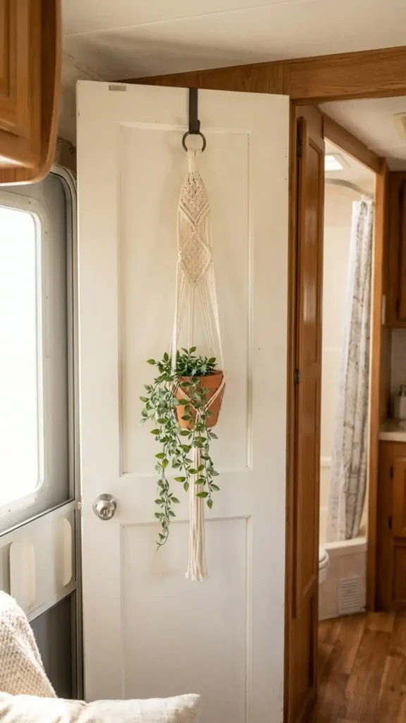Macrame Plant Hangers