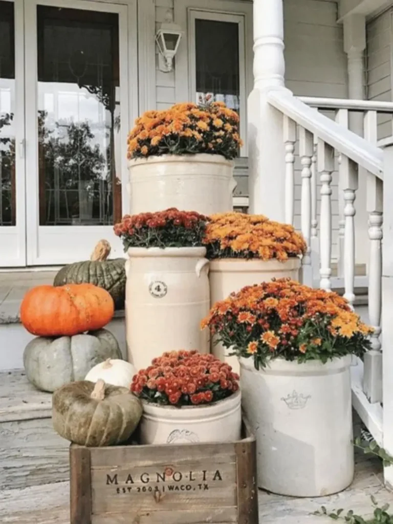 Crock Collection Meets Mum Cluster