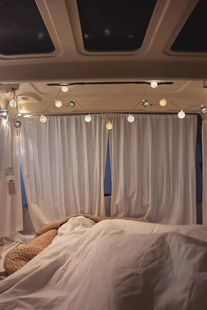 Curtains That Double As Divider